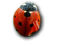 wpc8e66d8b.png